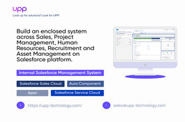 Internal Salesforce management system